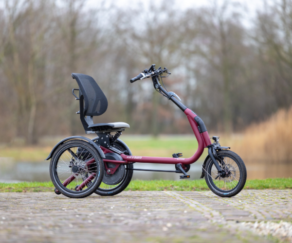 Driewieler fiets Easy Rider Compact - Driewielfietsen